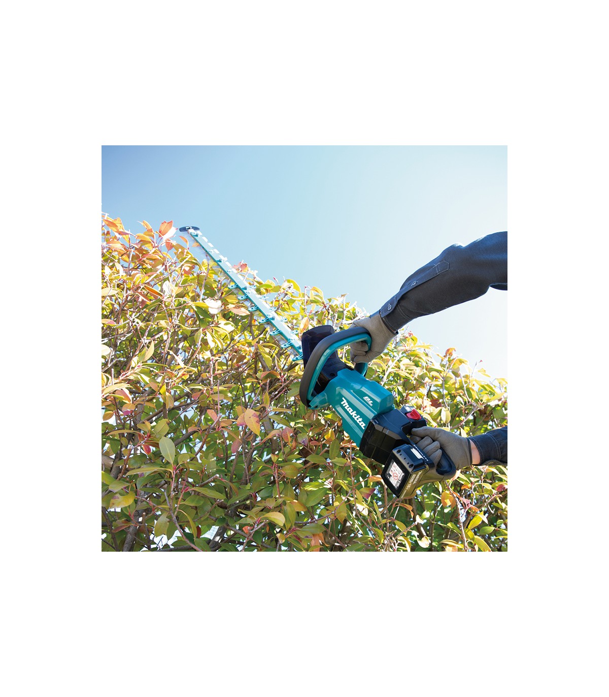 Taille-haie 18V 60cm DUH602Z + 1 batterie BL1850B 18V 5 Ah + 1 chargeur rapide DC18RC MAKITA