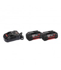 Pack 2 Batteries GBA 36V 6 Ah + Chargeur GAL 3680 CV BOSCH