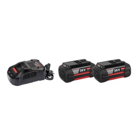 Pack 2 Batteries GBA 36V 6 Ah + Chargeur GAL 3680 CV BOSCH