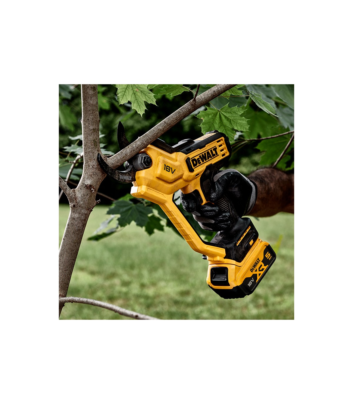 Sécateur 18V DCMPP568N-XJ DEWALT