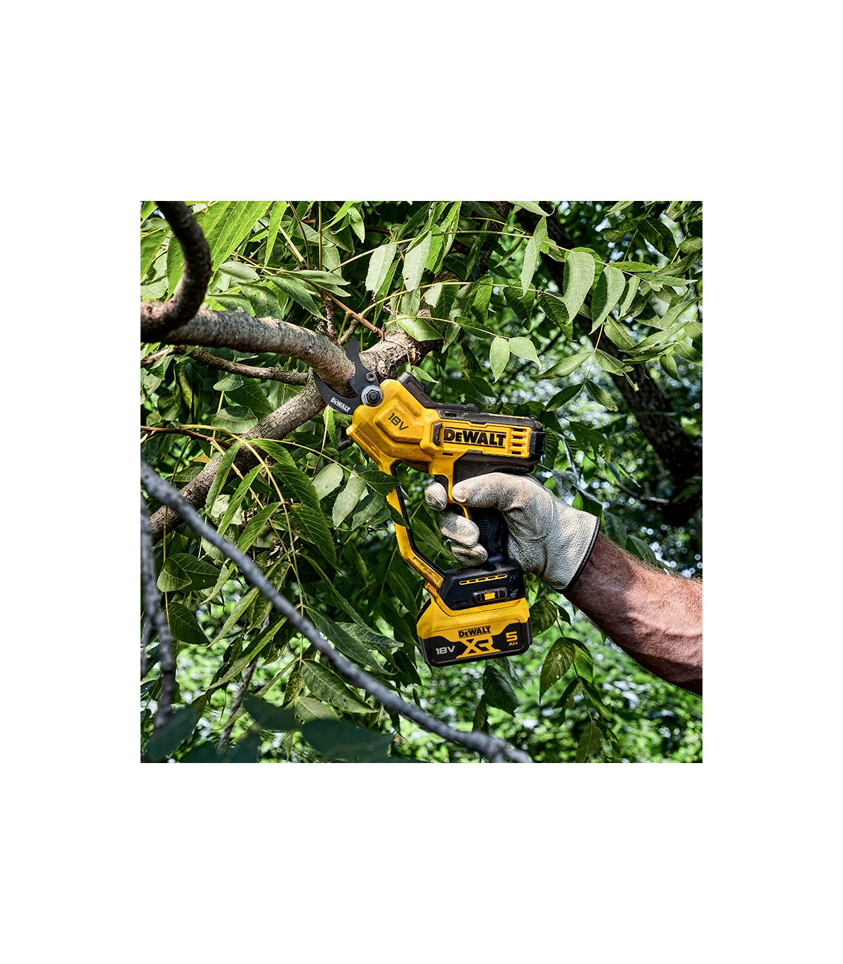 Sécateur 18V DCMPP568N-XJ DEWALT