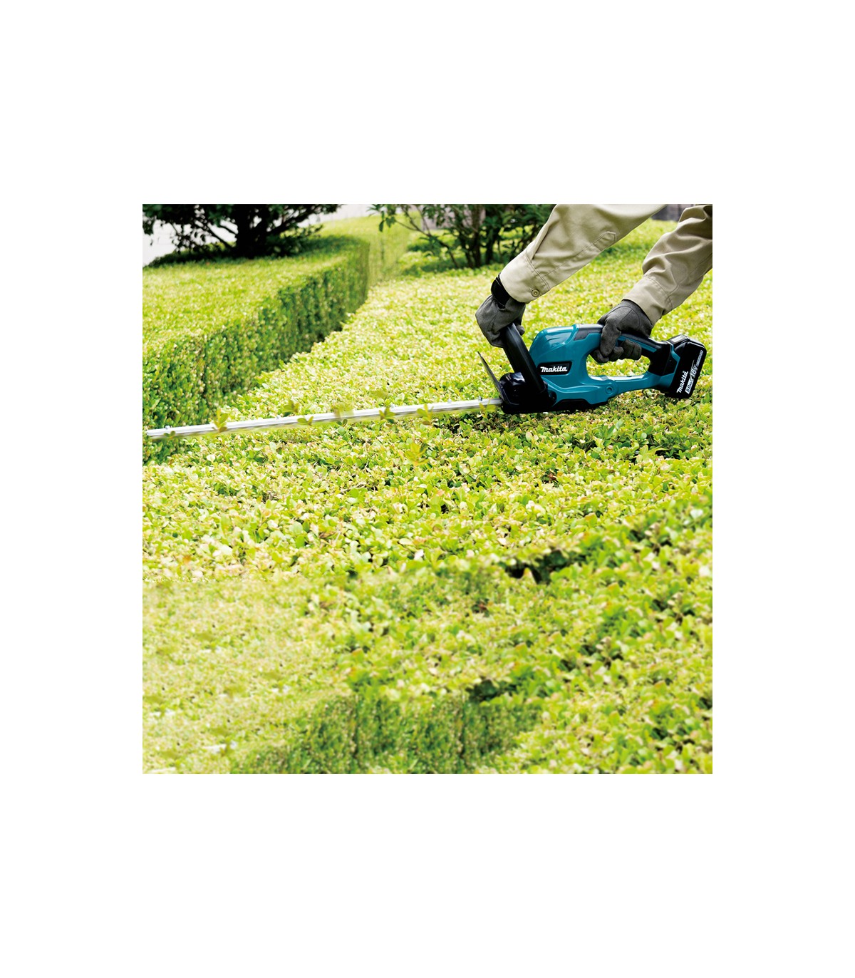Taille-haie 18V DUH607Z + 1 batterie BL1850B 18V 5 Ah + 1 chargeur DC18RC MAKITA