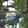 Tronconneuse d'élagage 18V DUC122Z MAKITA