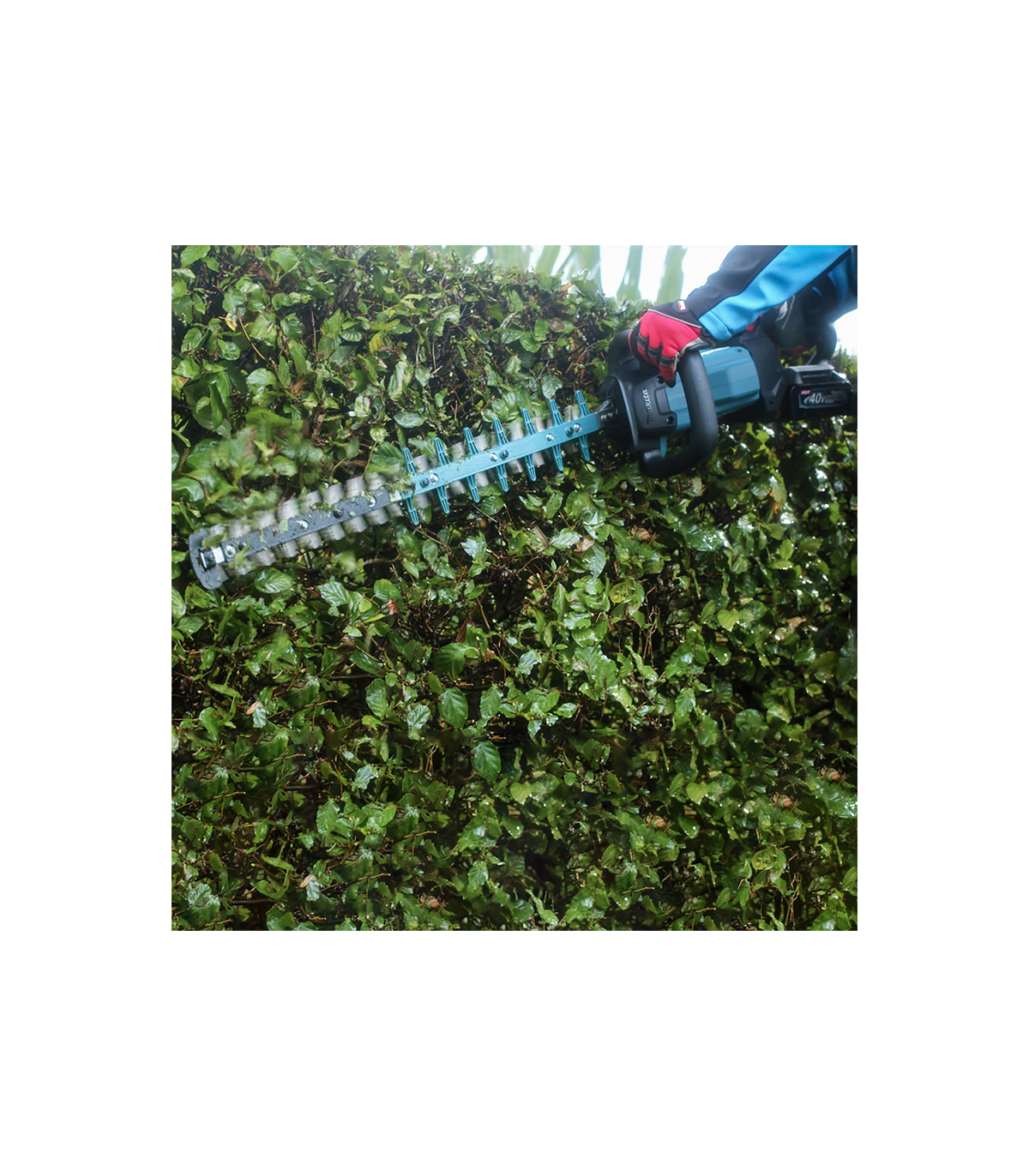 Taille-haie 40V 60cm UH004GZ + 2 batteries 40V 4 Ah + chargeur rapide DC40RA MAKITA