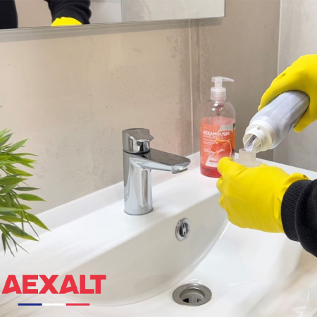 Déboucheur choc toutes canalisations PRO’DEBO PERLES AEXALT