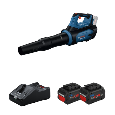 Souffleur GBL 18V-800 + 2 Batteries Procore 18V 8 Ah + 1 Chargeur GAL 18V-160 BOSCH