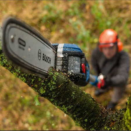 Elagueuse sur perche GKE 18V-25 TP BOSCH