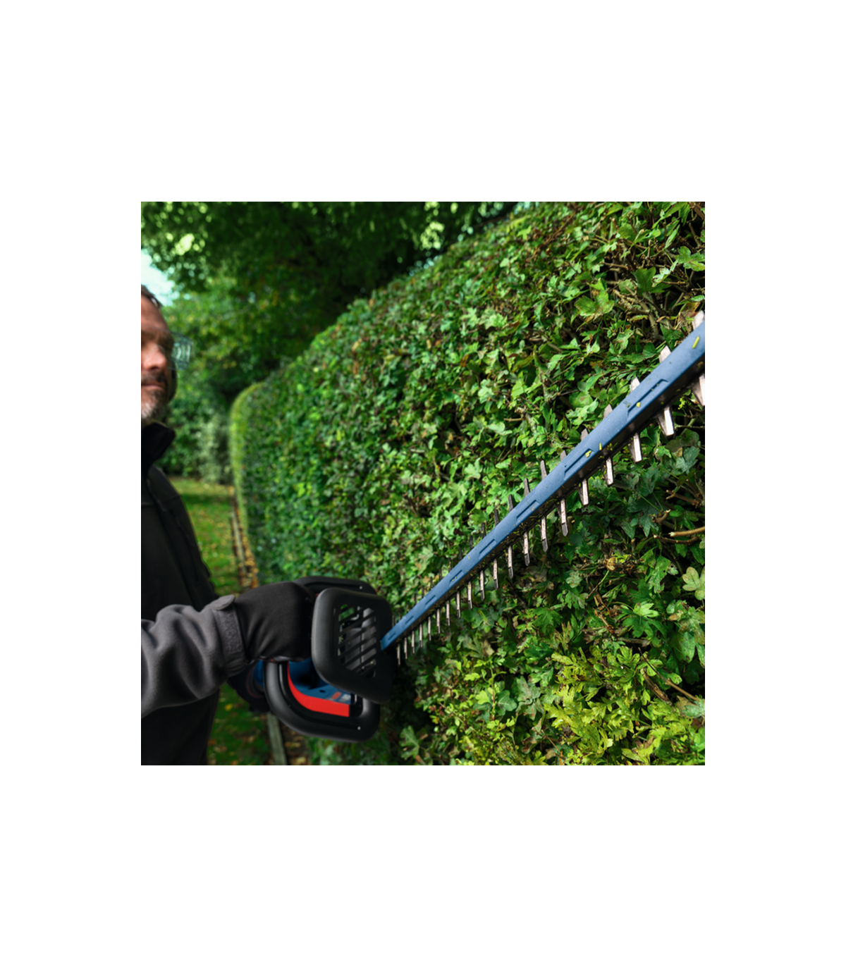 Taille haie sans fil GHE 18V-60 (II) + 1 Batterie Procore 18V 4 Ah + 1 Chargeur GAL 18V-40 BOSCH