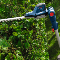 Taille haies sur perche GHE 18V-50 TP BOSCH