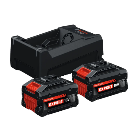 Pack de 2 batteries EXBA EXPERT 18V-55 5.5 Ah + Chargeur GAL 12V/18V-80 BOSCH