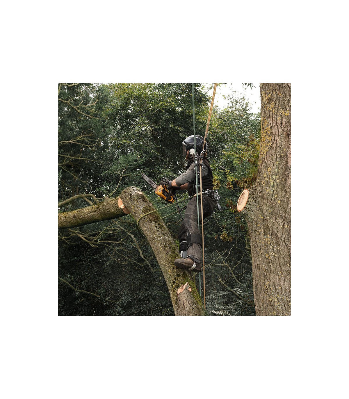 Tronçonneuse d'élagage 54V 30 cm DCMCST632N-XJ + 1 batterie 54V 9 Ah + 1 chargeur DCB118-QW DEWALT