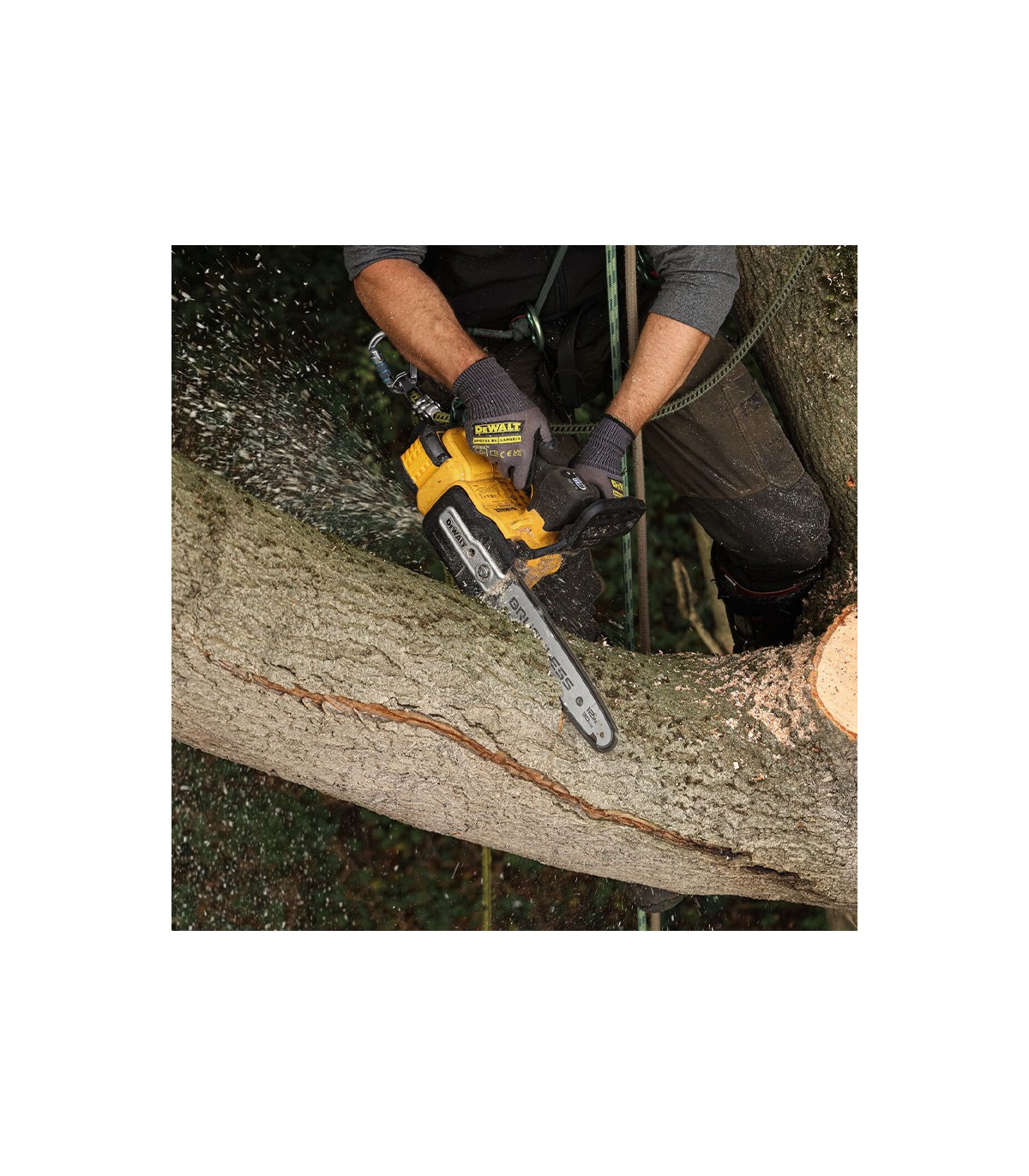 Tronçonneuse d'élagage 54V 30 cm DCMCST632N-XJ + 1 batterie 54V 9 Ah + 1 chargeur DCB118-QW DEWALT