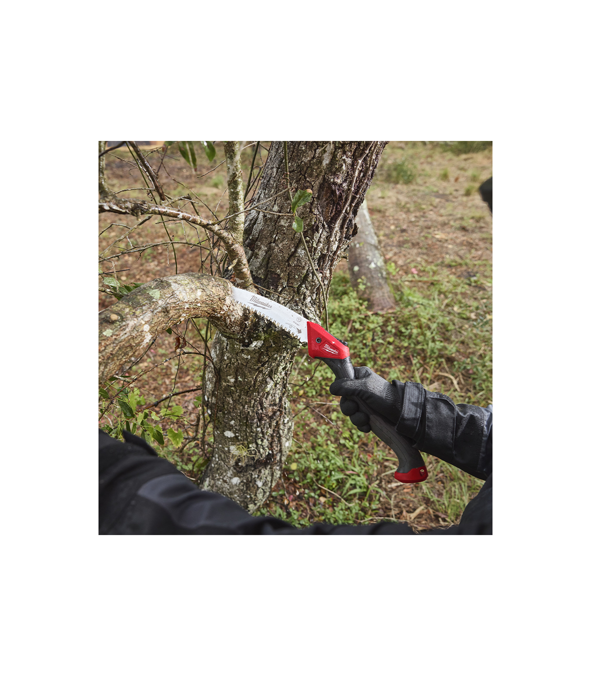 Scie sabre pliante 25cm MLWAUKEE