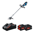 2 Batteries EXPERT 8 Ah + 1 Chargeur EXAL18V-160