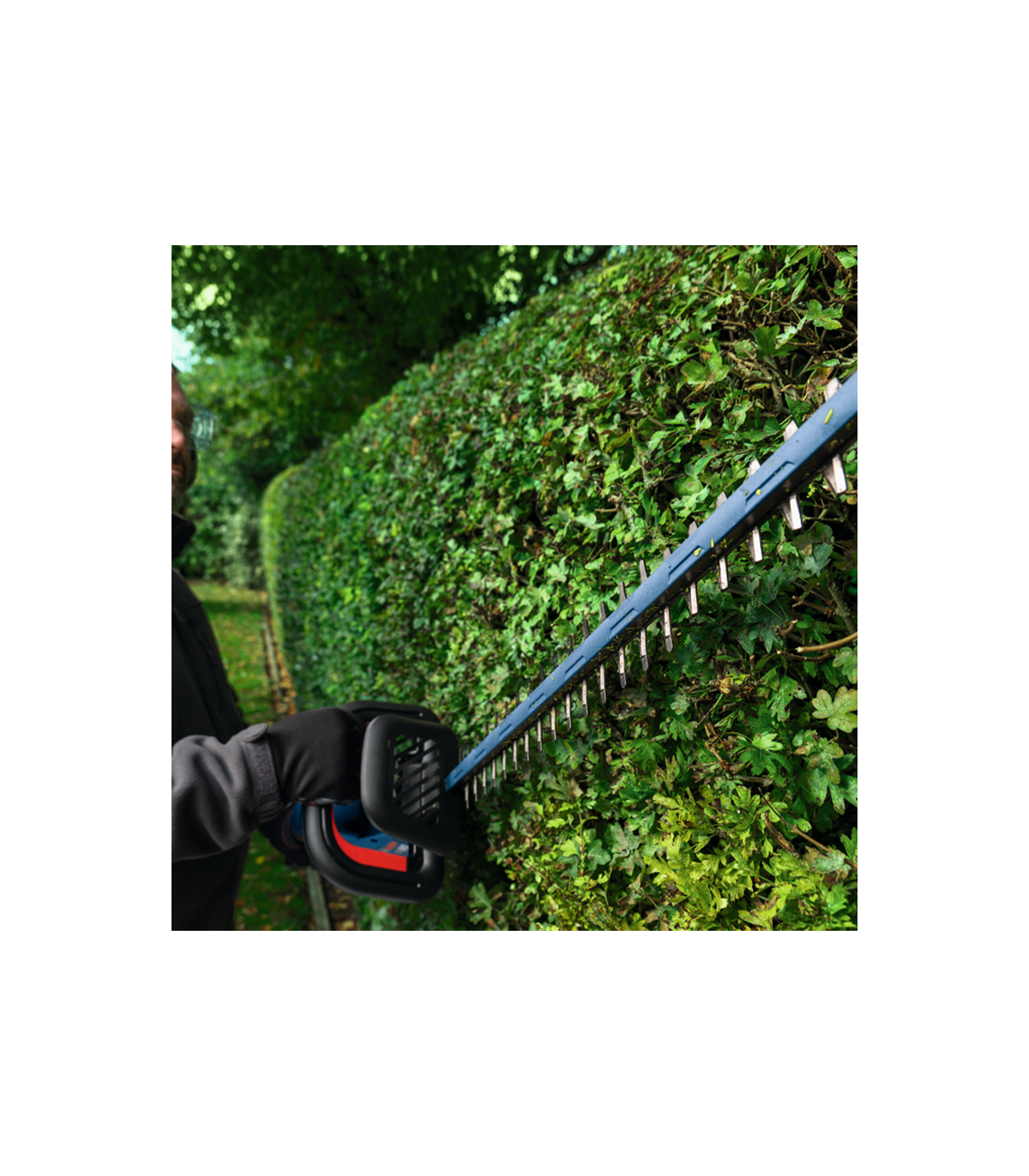 Taille haie sans fil GHE 18V-50 (II) avec volant d’inertie BOSCH