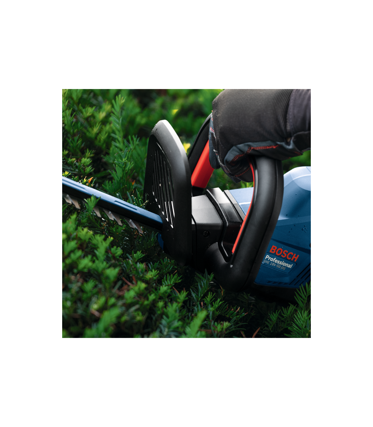Taille haie sans fil GHE 18V-50 (II) avec volant d’inertie BOSCH