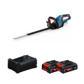 2 Batteries EXPERT 4 Ah + 1 Chargeur GAL 12V/18V-80