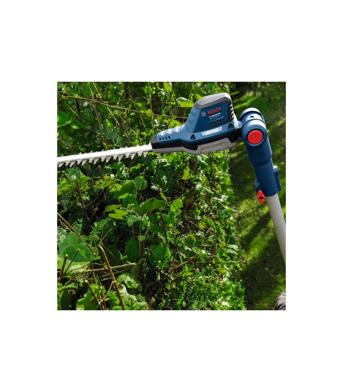 Taille haies sur perche GHE 18V-50 TP BOSCH