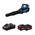 2 Batteries EXPERT 8 Ah + 1 Chargeur EXAL18V-160