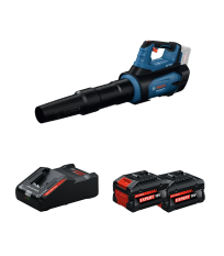 Souffleur GBL 18V-800 + 2 Batteries EXPERT 8 Ah + 1 Chargeur EXAL18V-160 BOSCH