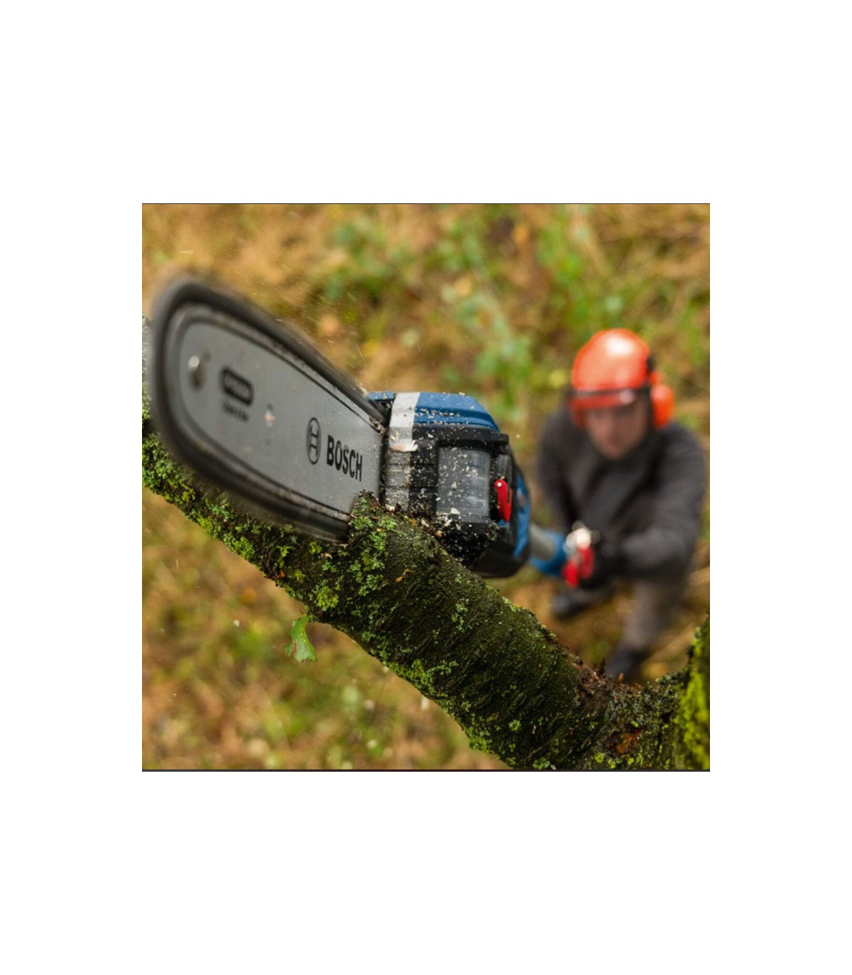 Elagueuse sur perche GKE 18V-25 TP BOSCH