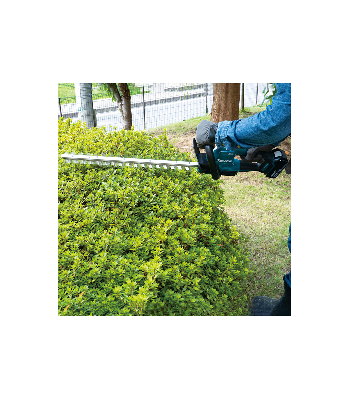Taille-haie 18V 52cm DUH506Z MAKITA