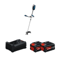 2 Batteries EXPERT 5,5 Ah + 1 Chargeur GAL 12V/18V-80