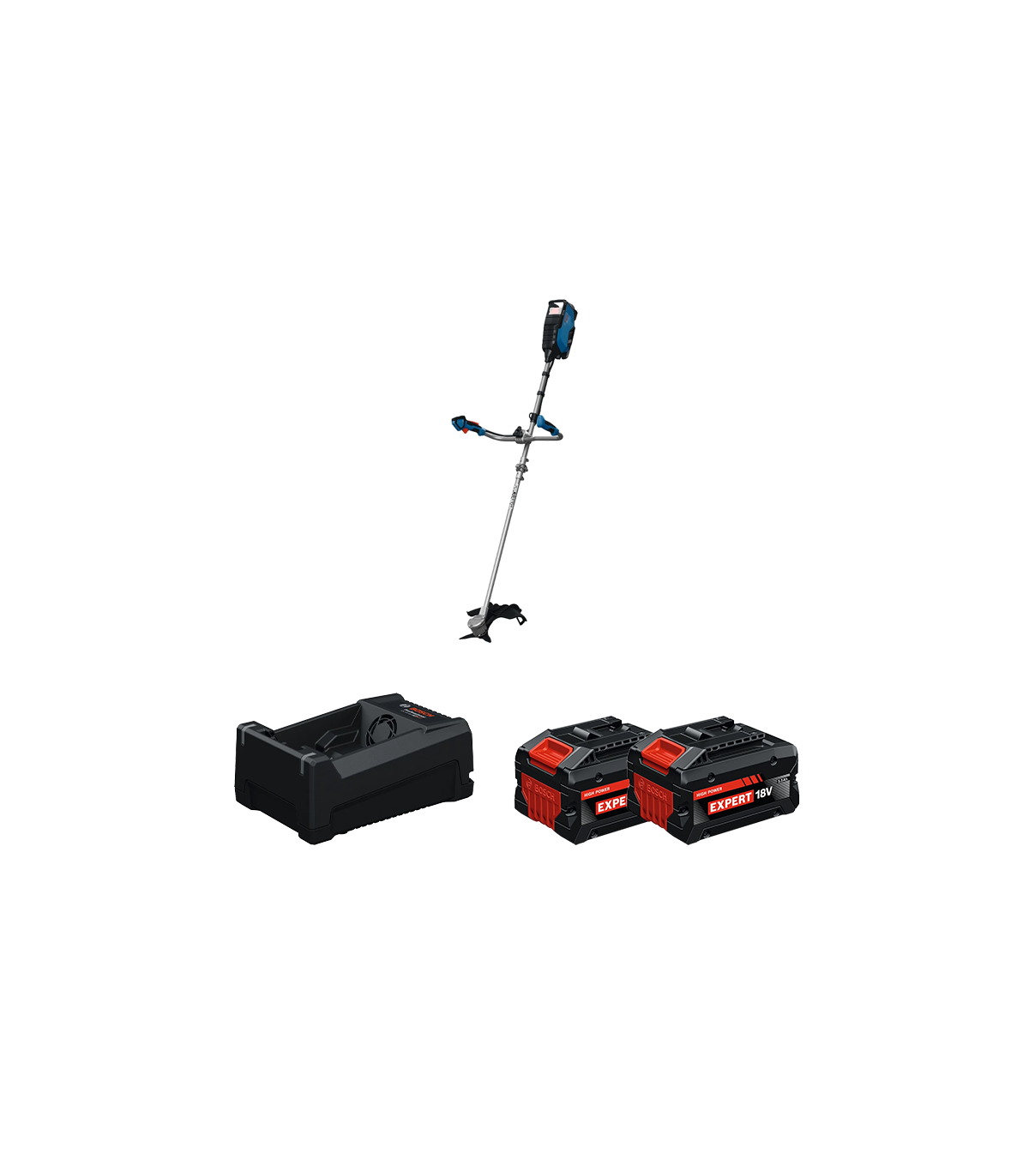 Débroussailleuse GFR 18V-25BH + 2 Batteries EXPERT 5,5 Ah + 1 Chargeur GAL 12V/18V-80 BOSCH