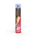 Insecticide guêpes, frelons CHOAX AEXALT