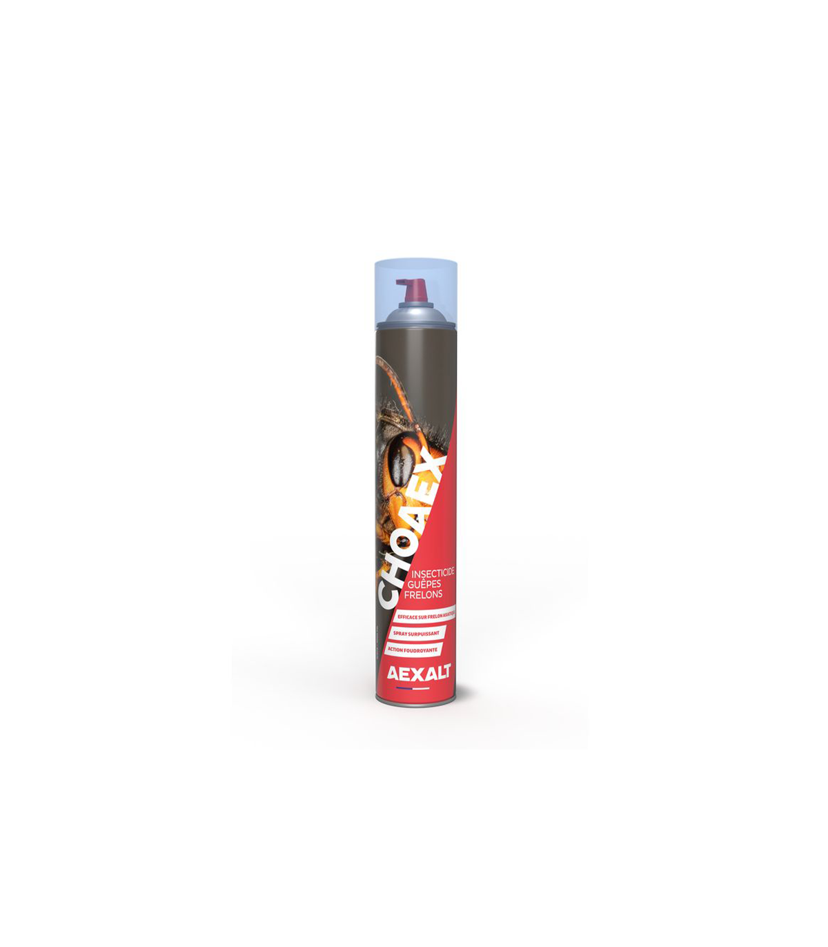 Insecticide guêpes, frelons CHOAX AEXALT