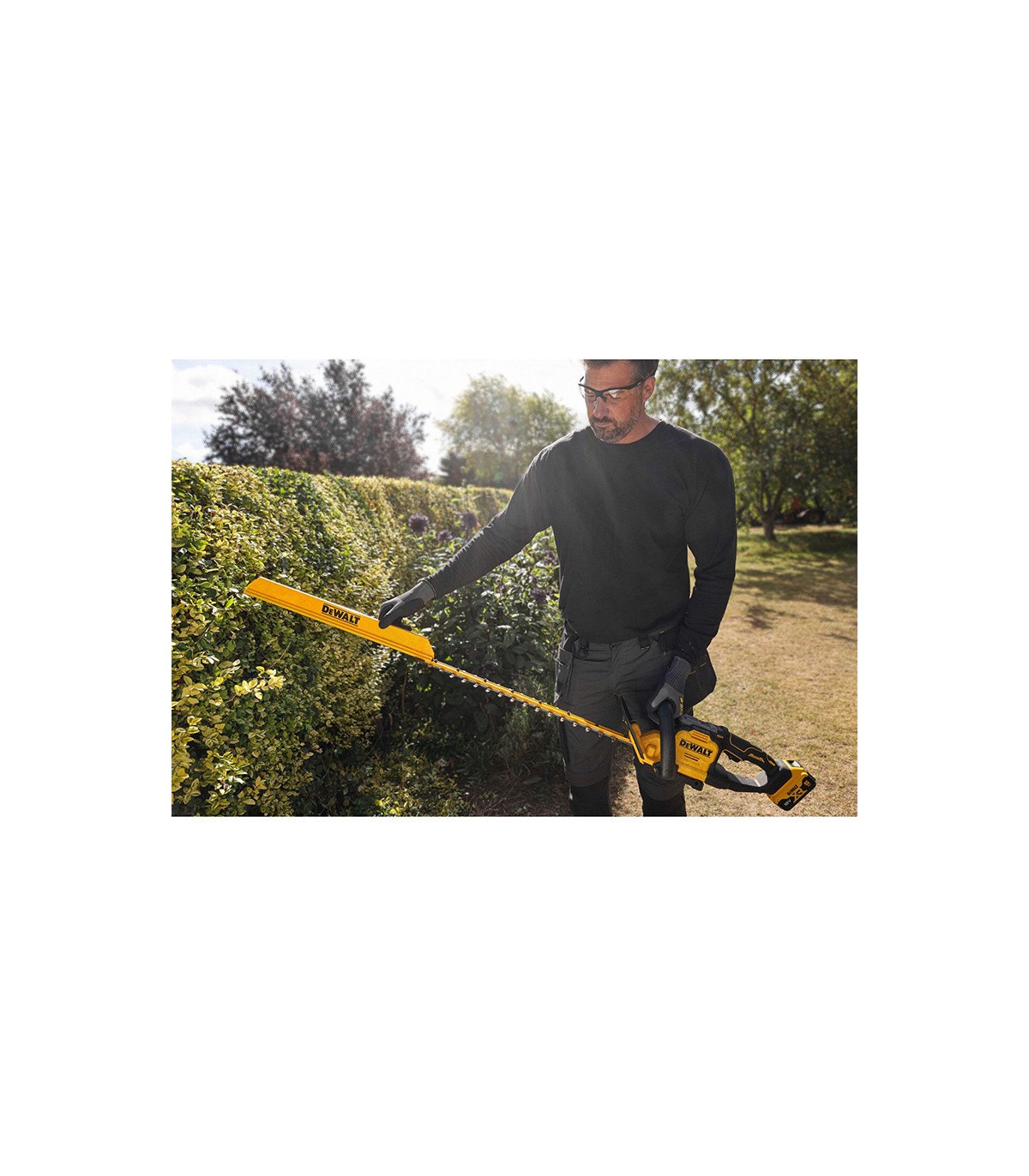 Taille haie 18V 60 cm DCMHT567N-XJ DEWALT