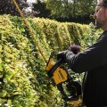 Taille haie 18V 60 cm DCMHT567N-XJ DEWALT