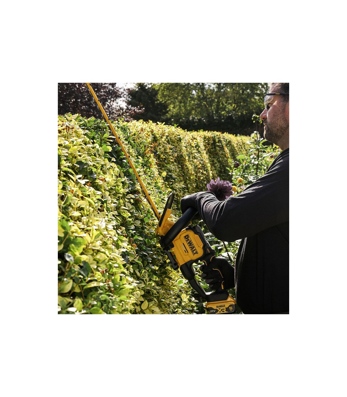 Taille haie 18V 60 cm DCMHT567N-XJ DEWALT