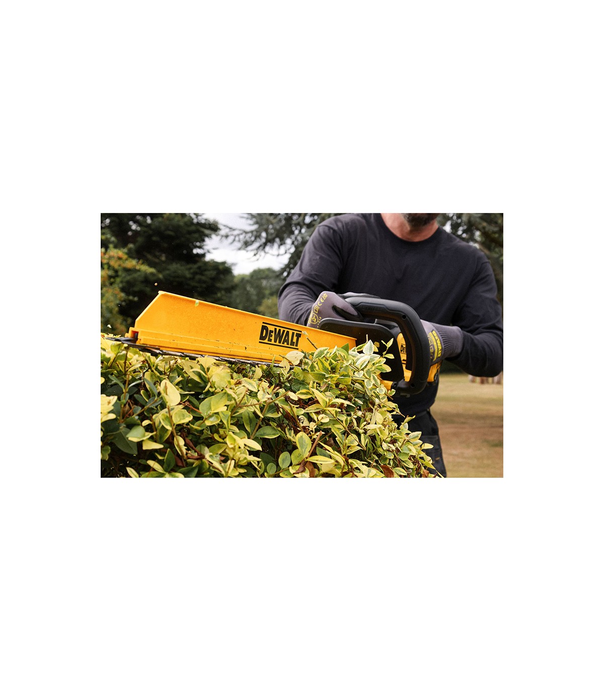 Taille haie 18V 60 cm DCMHT567N-XJ DEWALT